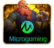 ATAS88 provider Microgaming